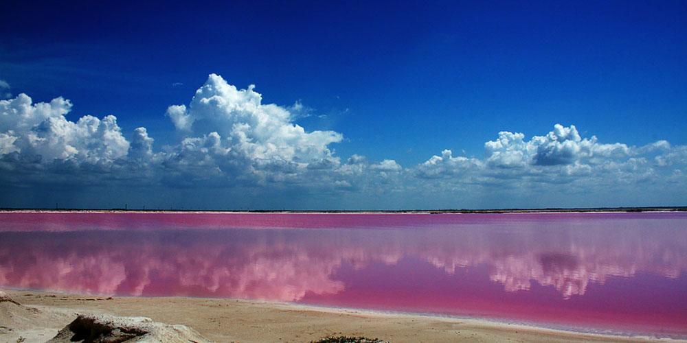 ホテルCasa Laguna Lagartos Río Lagartos エクステリア 写真