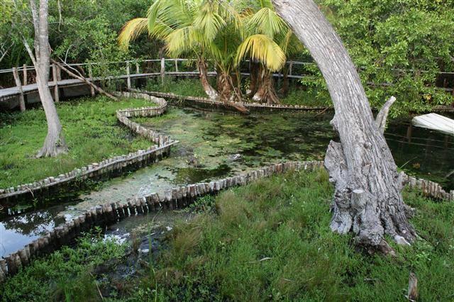 ホテルCasa Laguna Lagartos Río Lagartos エクステリア 写真